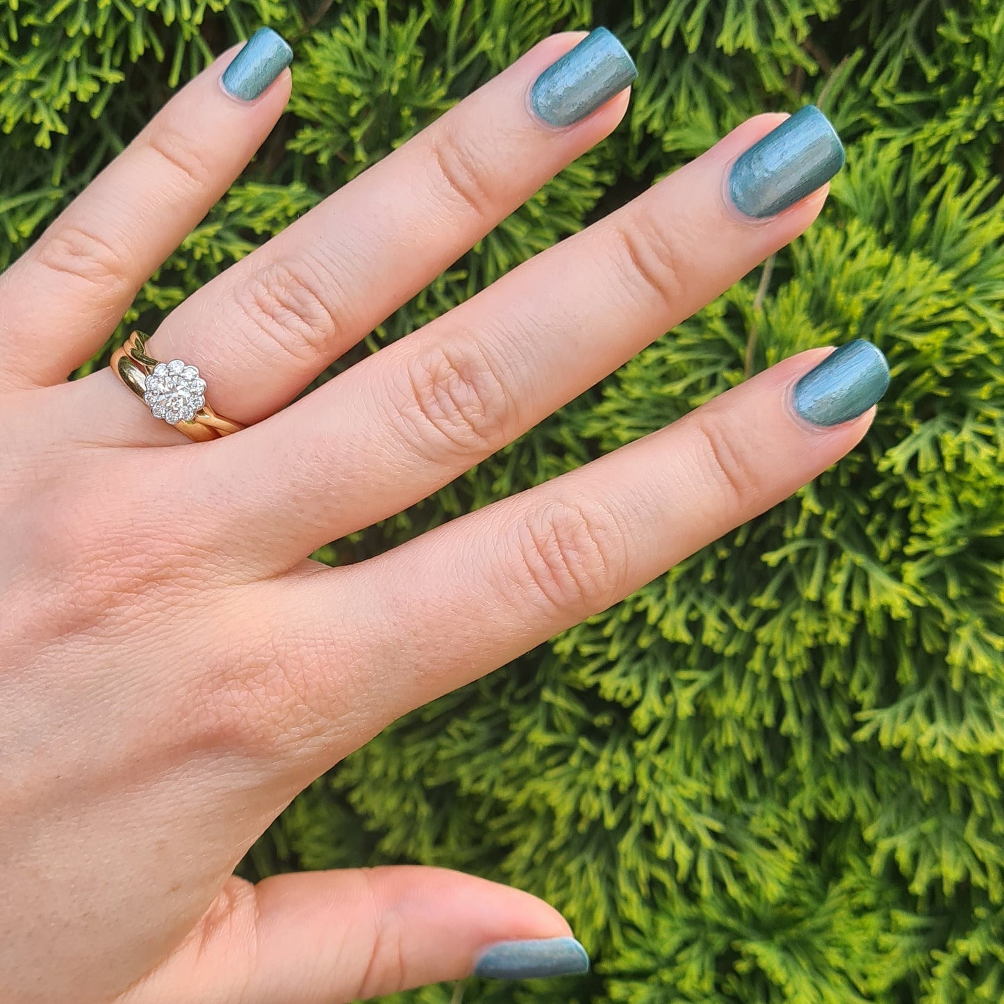 Can You Stand On Your Head? (Overpour Shade) - Shades of Phoenix