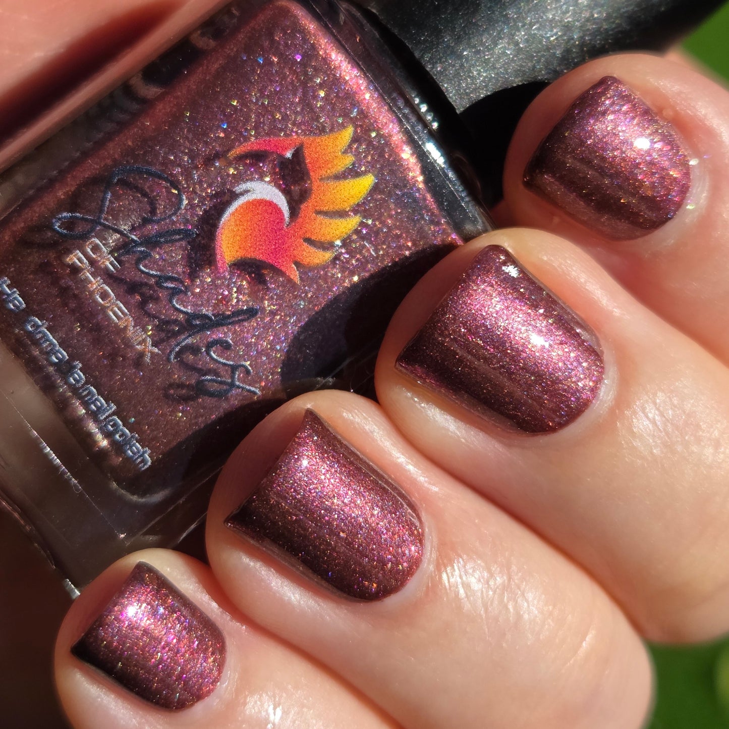 ⭐ Shades of Phoenix – Blood Moon (Crème/Glitter)