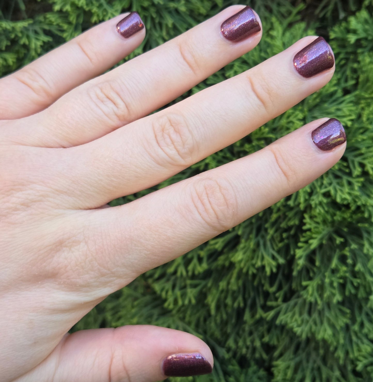 ⭐ Shades of Phoenix – Blood Moon (Crème/Glitter)