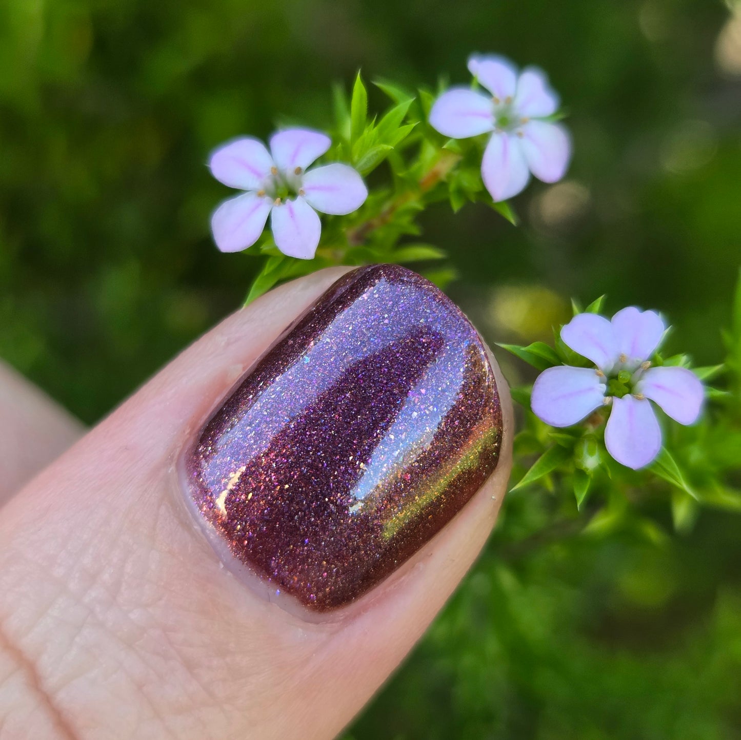⭐ Shades of Phoenix – Blood Moon (Crème/Glitter)