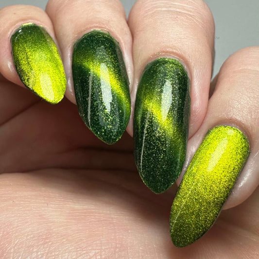 ⭐Paint It By Dipp It - Frogstomp (Magnetic)