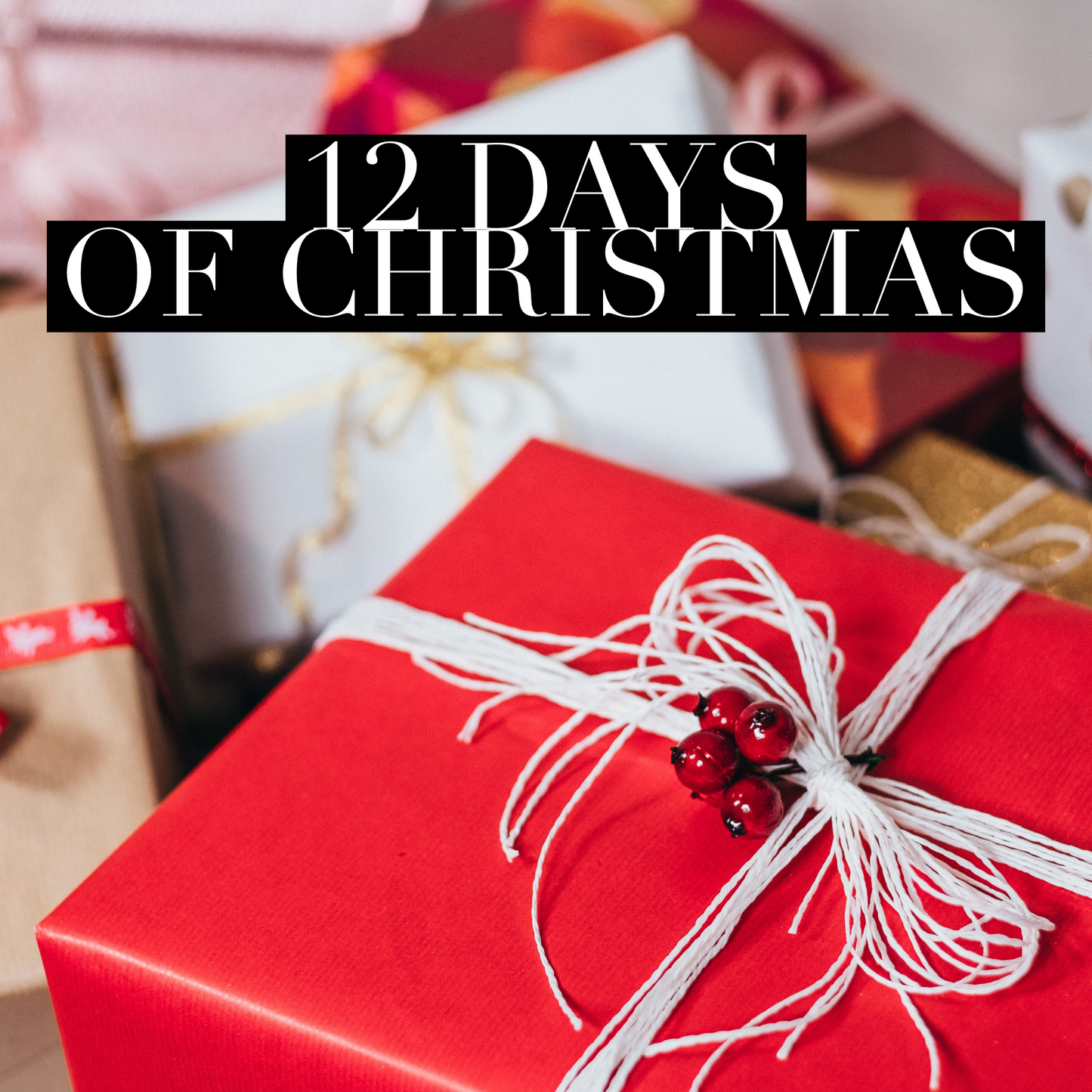 12 Days of Christmas - mystery 12-Day advent calendar box
