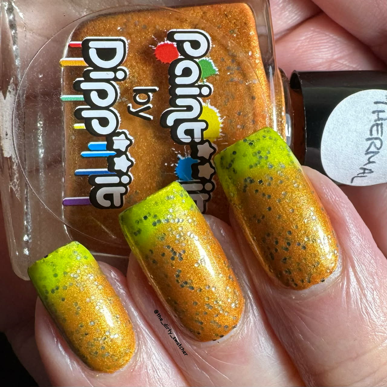 ⭐Paint It By Dipp It - This is the Skin of a Pumpkin (Thermal / Glitter)