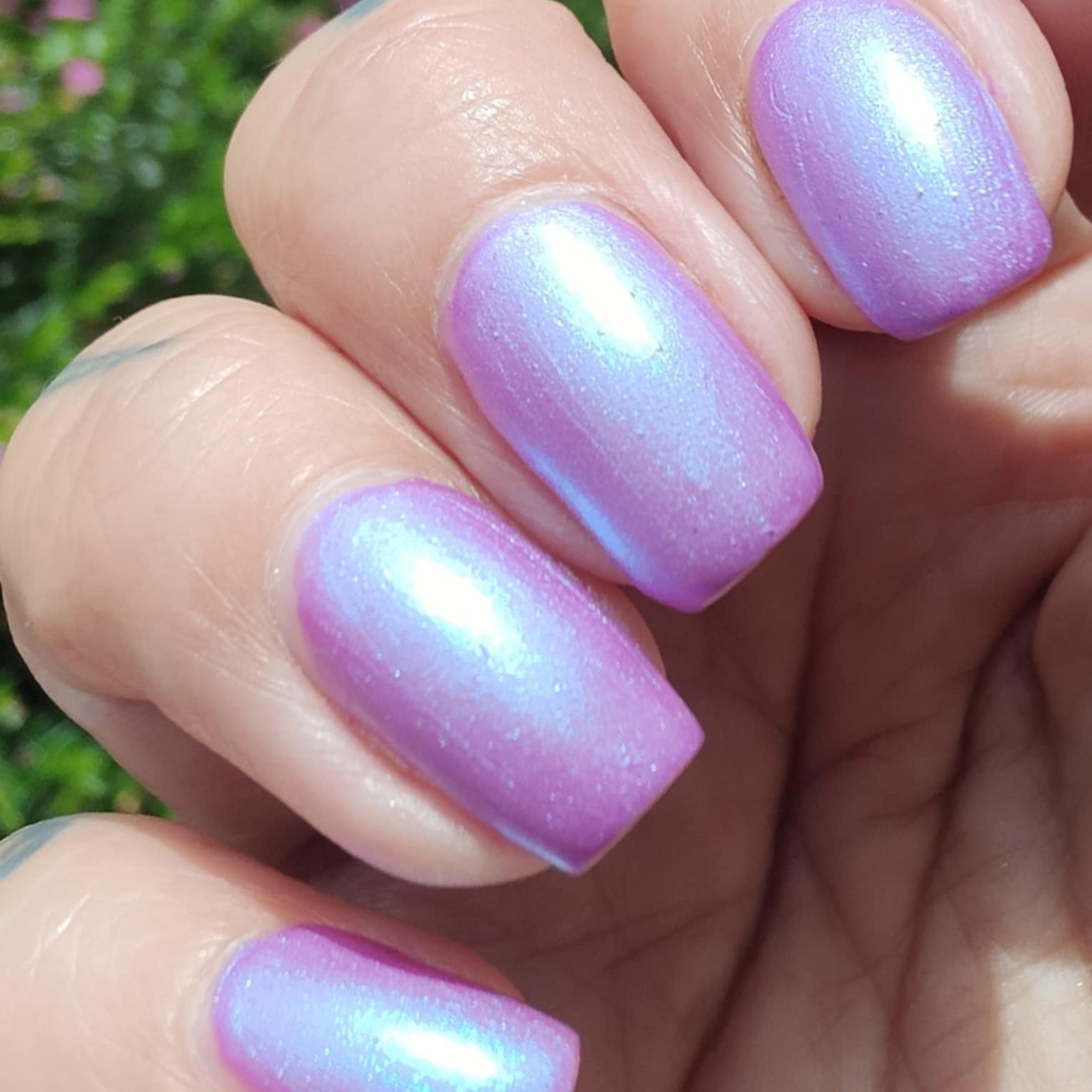 Dreamland - Lilypad Lacquer