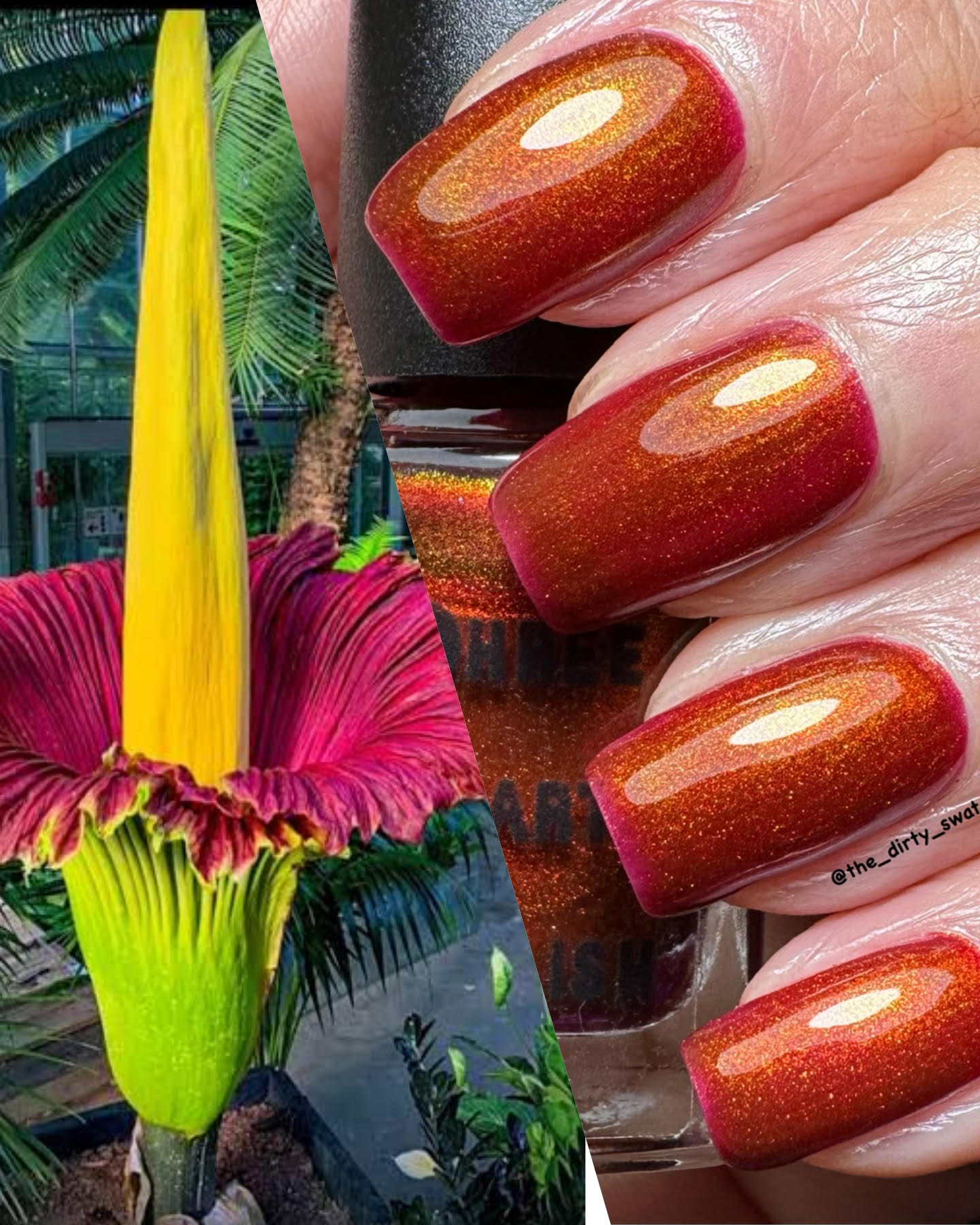 ⭐Three Hearts Polish - Bloom to Die (Shimmer)