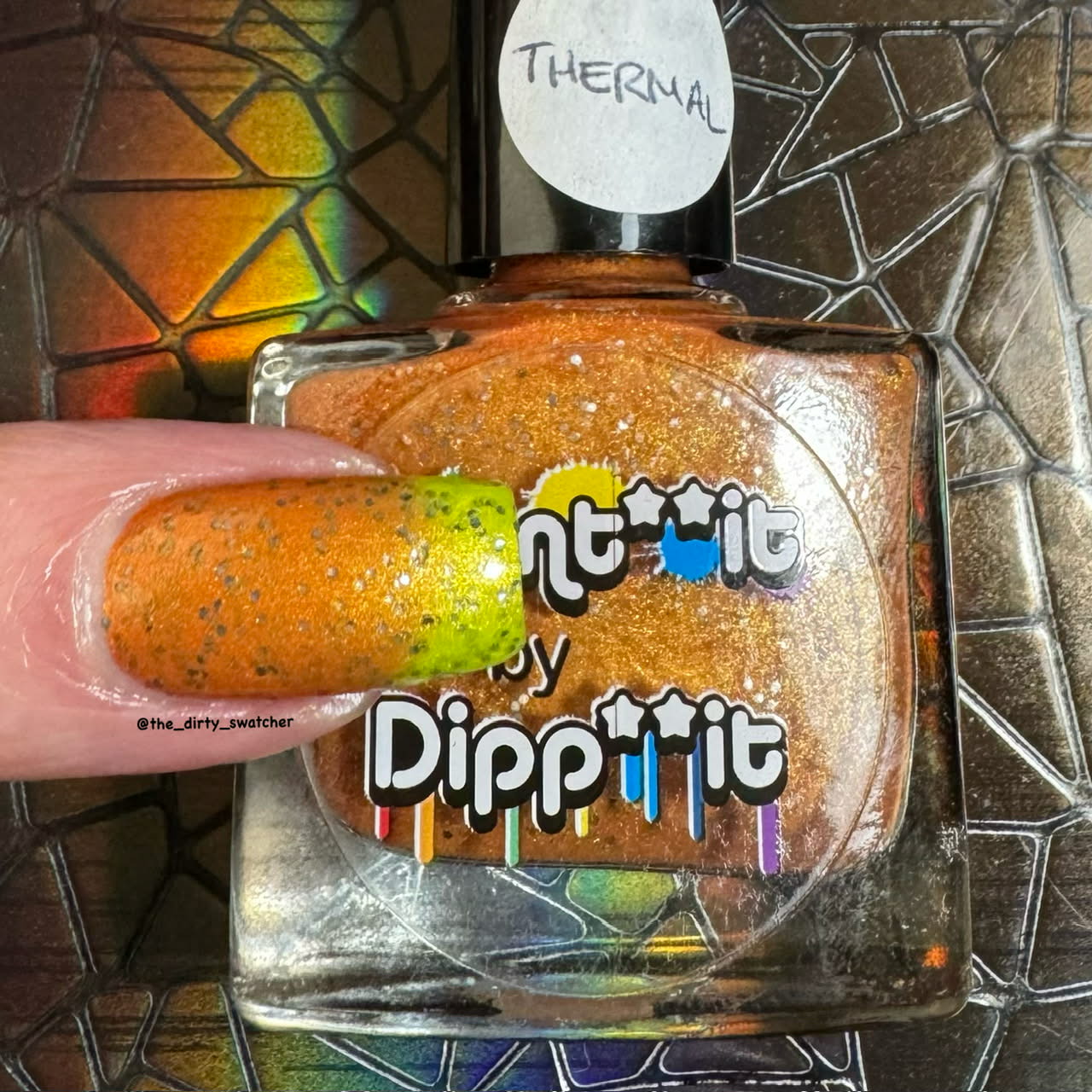 ⭐Paint It By Dipp It - This is the Skin of a Pumpkin (Thermal / Glitter)