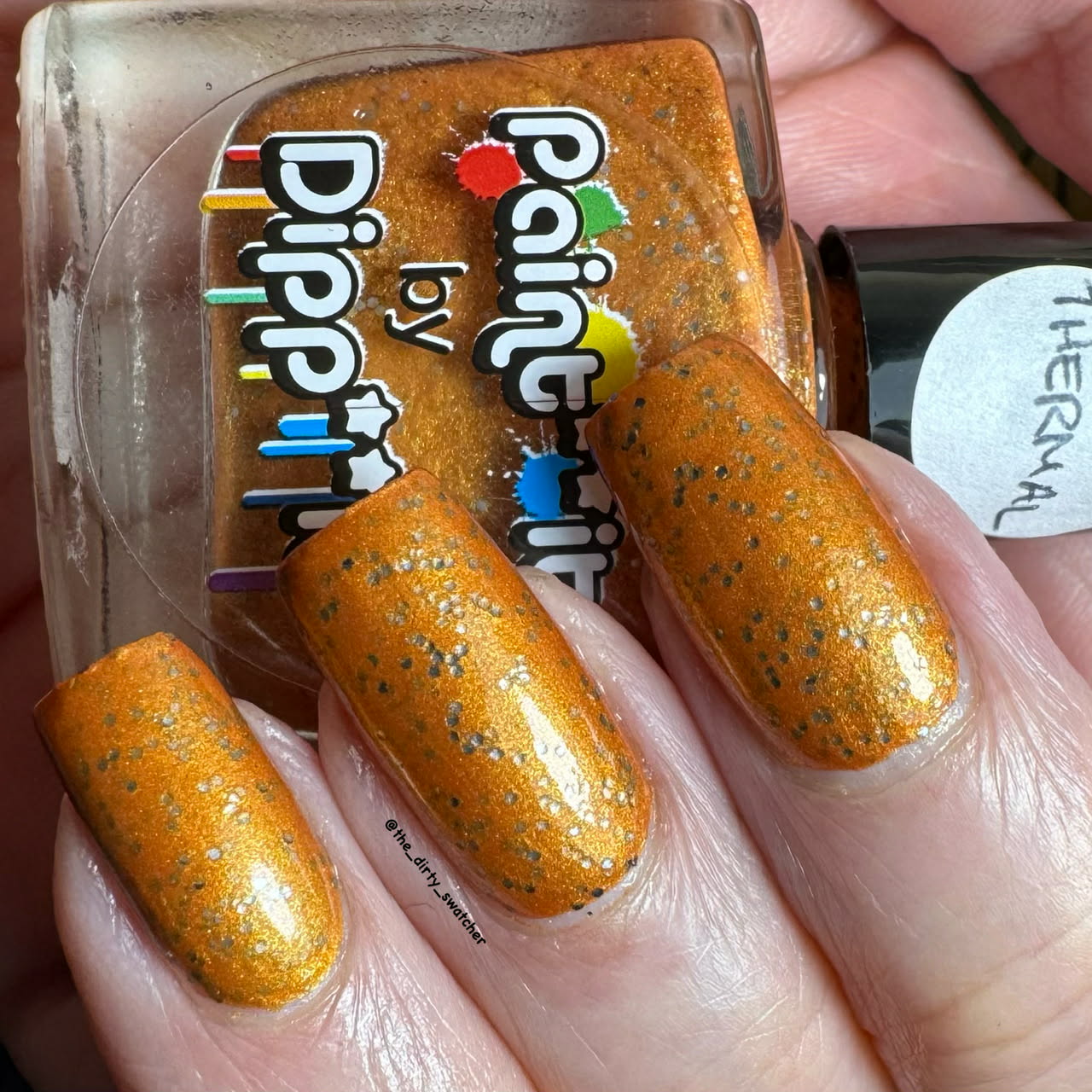 ⭐Paint It By Dipp It - This is the Skin of a Pumpkin (Thermal / Glitter)