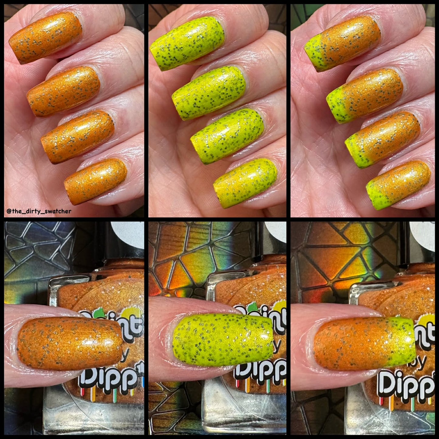 ⭐Paint It By Dipp It - This is the Skin of a Pumpkin (Thermal / Glitter)