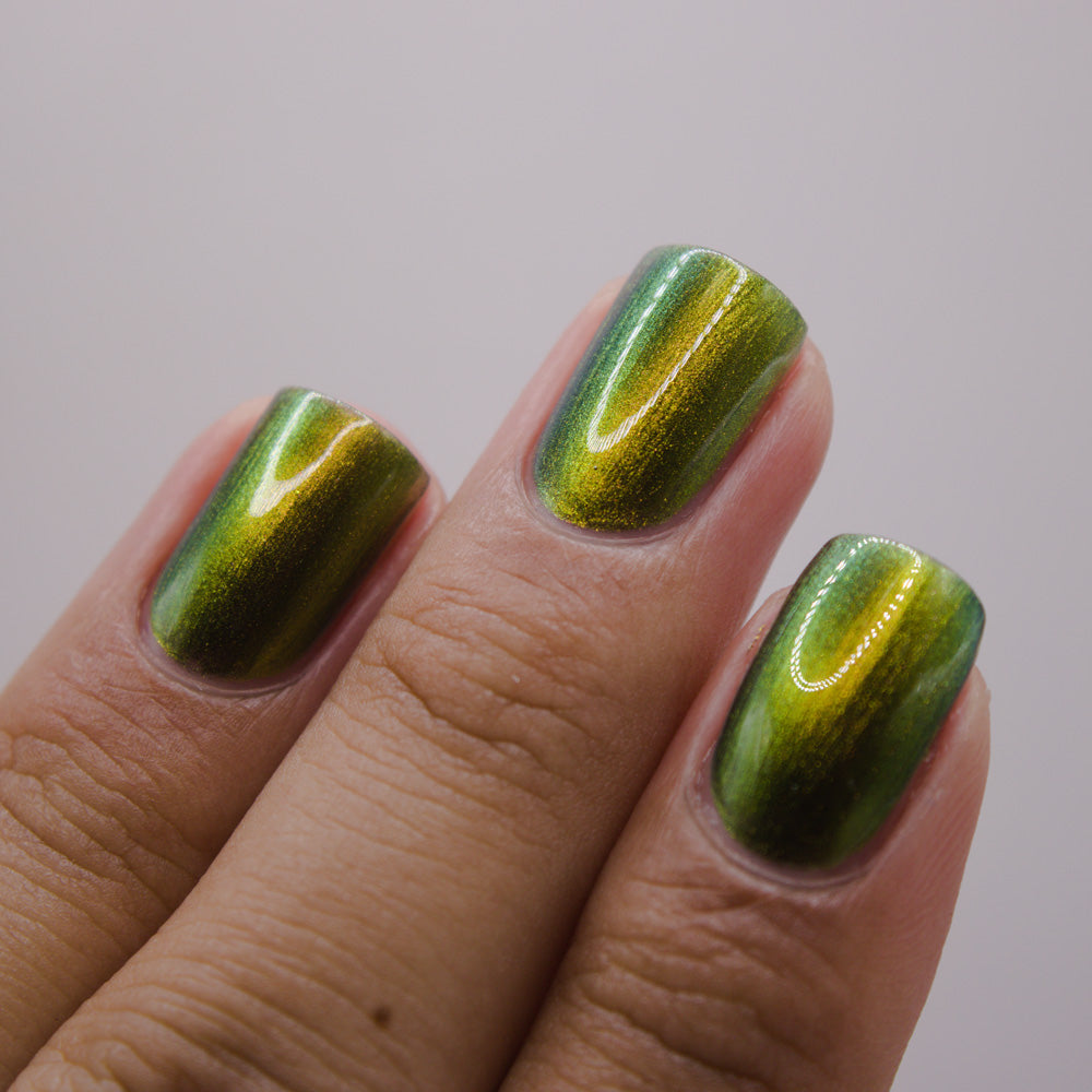 ⭐ Hit The Bottle – Destiny is All (Multichrome)